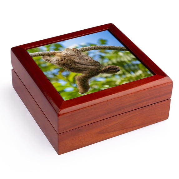 3dRose, Costa Rica. Close-up of three-toed sloth hanging on limb., Jewelry Box 5.5x5.5 inch with 4 inch tile