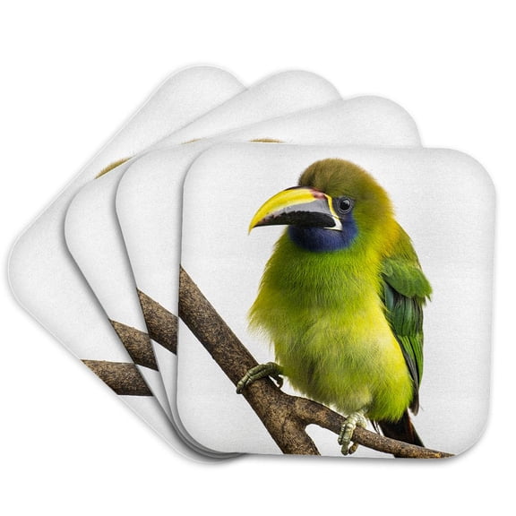 3drose, Costa Rica, Cordillera De Talamanca. Emerald Toucanet Bird Close-up., Set of 4 Coasters - Soft