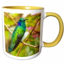 3drose, Costa Rica, Cordillera De Talamanca. Green Violetear Hummingbird. 2, 11oz Two-tone Yellow Mug
