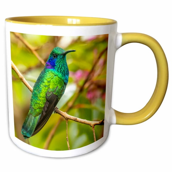 3drose, Costa Rica, Cordillera De Talamanca. Green Violetear Hummingbird. 2, 11oz Two-tone Yellow Mug