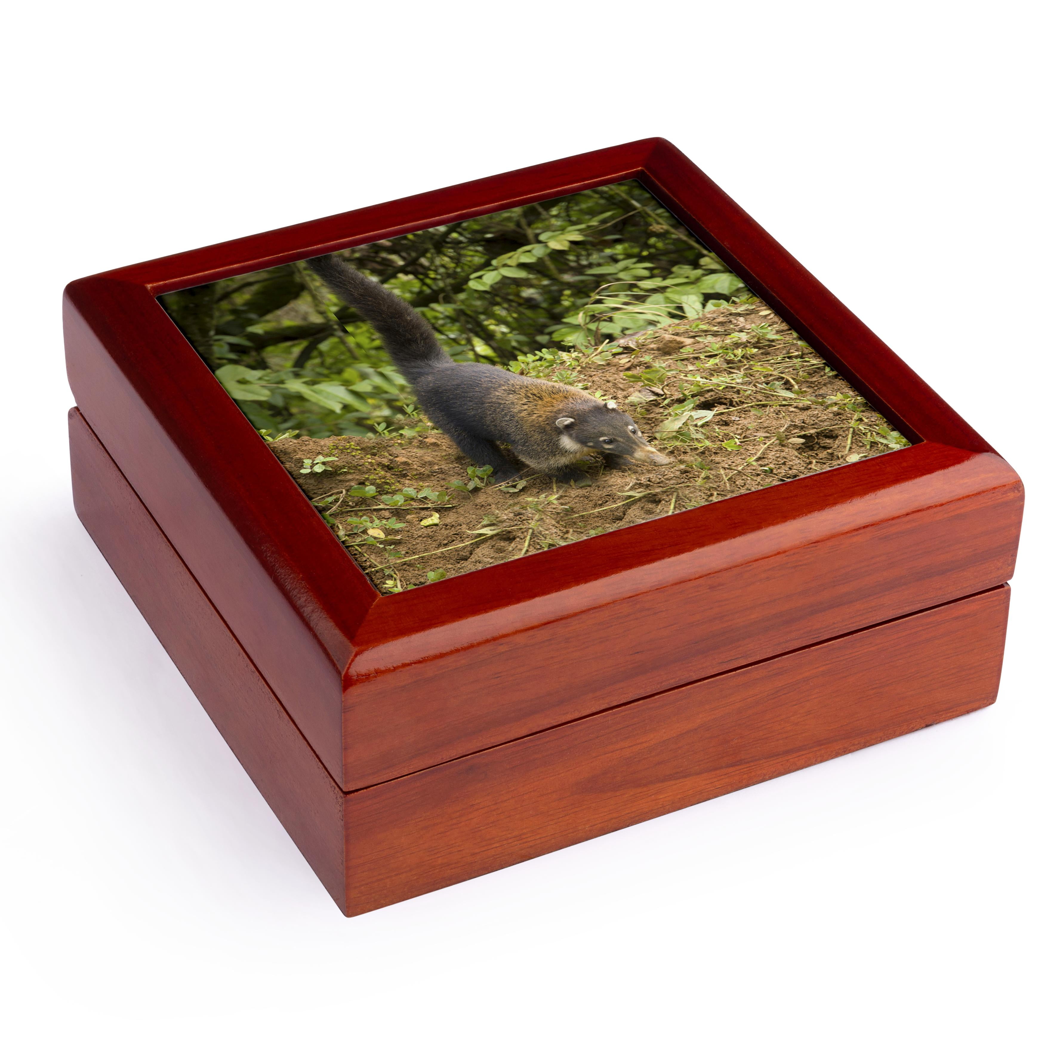 3dRose, Costa Rica, La Paz area, Coatimundi wildlife - SA22 RSP0004 - Rob Sheppard, Jewelry Box 5.5x5.5 inch with 4 inch tile