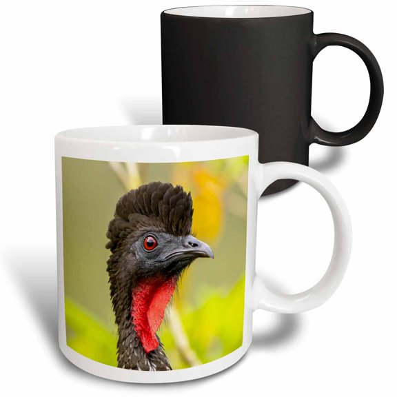 3drose, Costa Rica, La Selva Biological Research Station. Black Guan Bird., 11oz Magic Transforming Mug