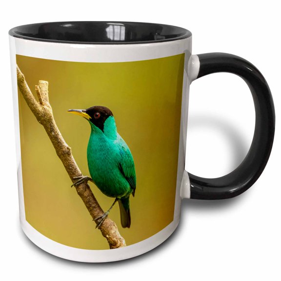 3drose, Costa Rica. Male Green Honeycreeper on Limb., 11oz Two-tone Black Mug