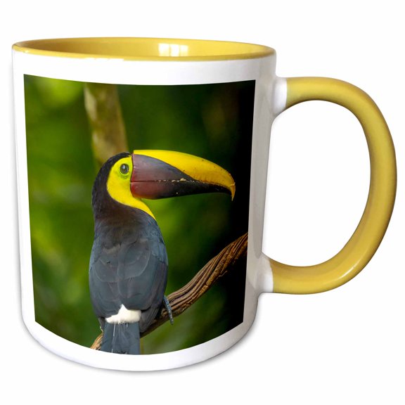 3drose, Costa Rica, Parque Nacional Carara. Chestnut-mandibled Toucan. 1, 11oz Two-tone Yellow Mug
