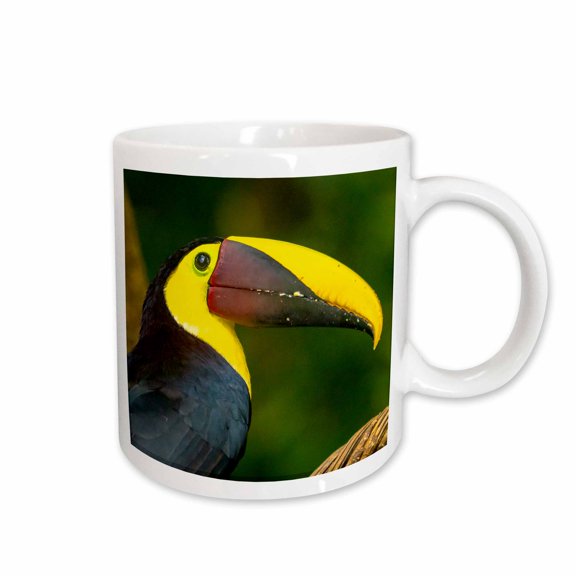 3drose, Costa Rica, Parque Nacional Carara. Chestnut-mandibled Toucan. 2, 11oz Mug