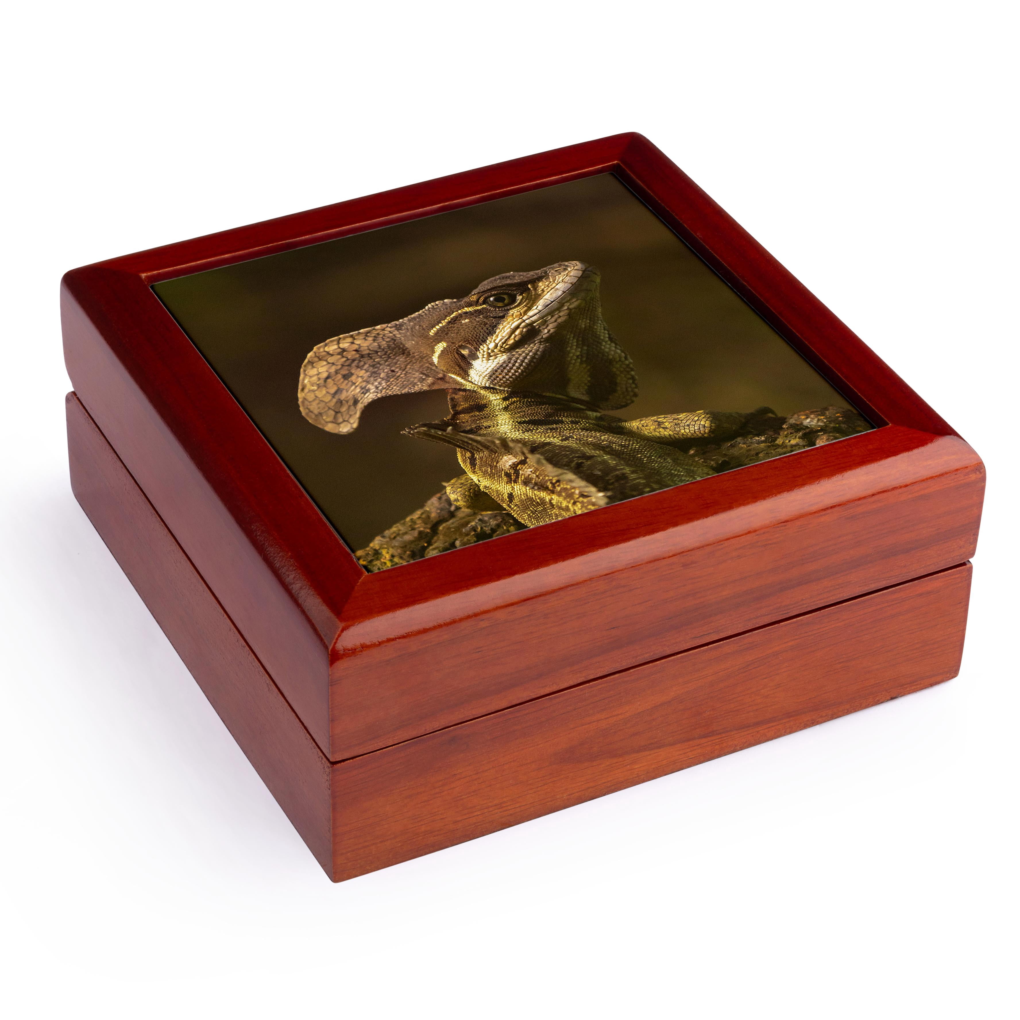3dRose, Costa Rica, Parque Nacional Carara. Male common basilisk lizard., Jewelry Box 5.5x5.5 inch with 4 inch tile