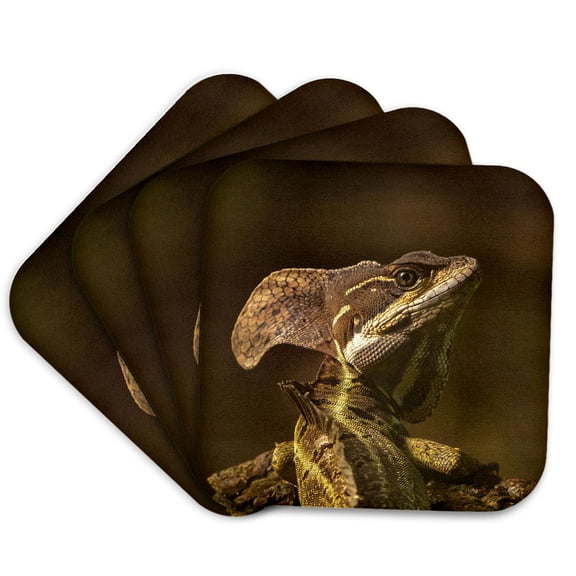 3drose, Costa Rica, Parque Nacional Carara. Male Common Basilisk Lizard., Set of 4 Coasters - Soft