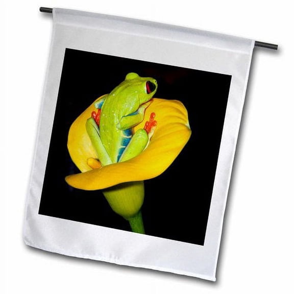 3dRose, Costa Rica, Red-eyed tree frog inside flower - SA22 BJA0019 - Jaynes Gallery, 12 x 18 inch Garden Flag