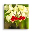 thumbnail image 1 of 3dRose, Costa Rica, San Jose. Close-up of red and white flowers., 10x10 Wall Clock, 1 of 8