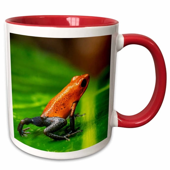 3drose, Costa Rica. Strawberry Poison Dart Frog on Leaf., 11oz Two-tone Red Mug
