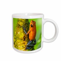 3drose, Costa Rica. Strawberry Poison Dart Frog on Tree Trunk., 15oz Mug