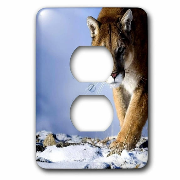 3dRose, Cougar, 2 plug outlet cover