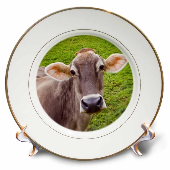3dRose, Cow, Italy, Bolzano, Val di Funes, Dolomites, 8 inch Porcelain Plate