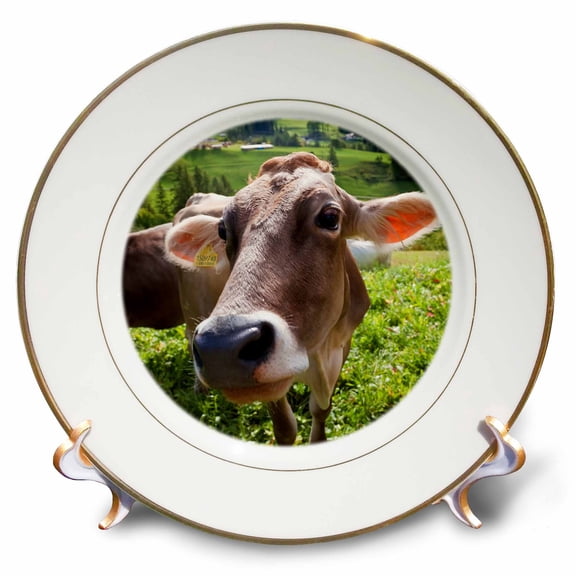 3dRose, Cow in valley, Italy, Bolzano, Val di Funes, Dolomites, 8 inch Porcelain Plate