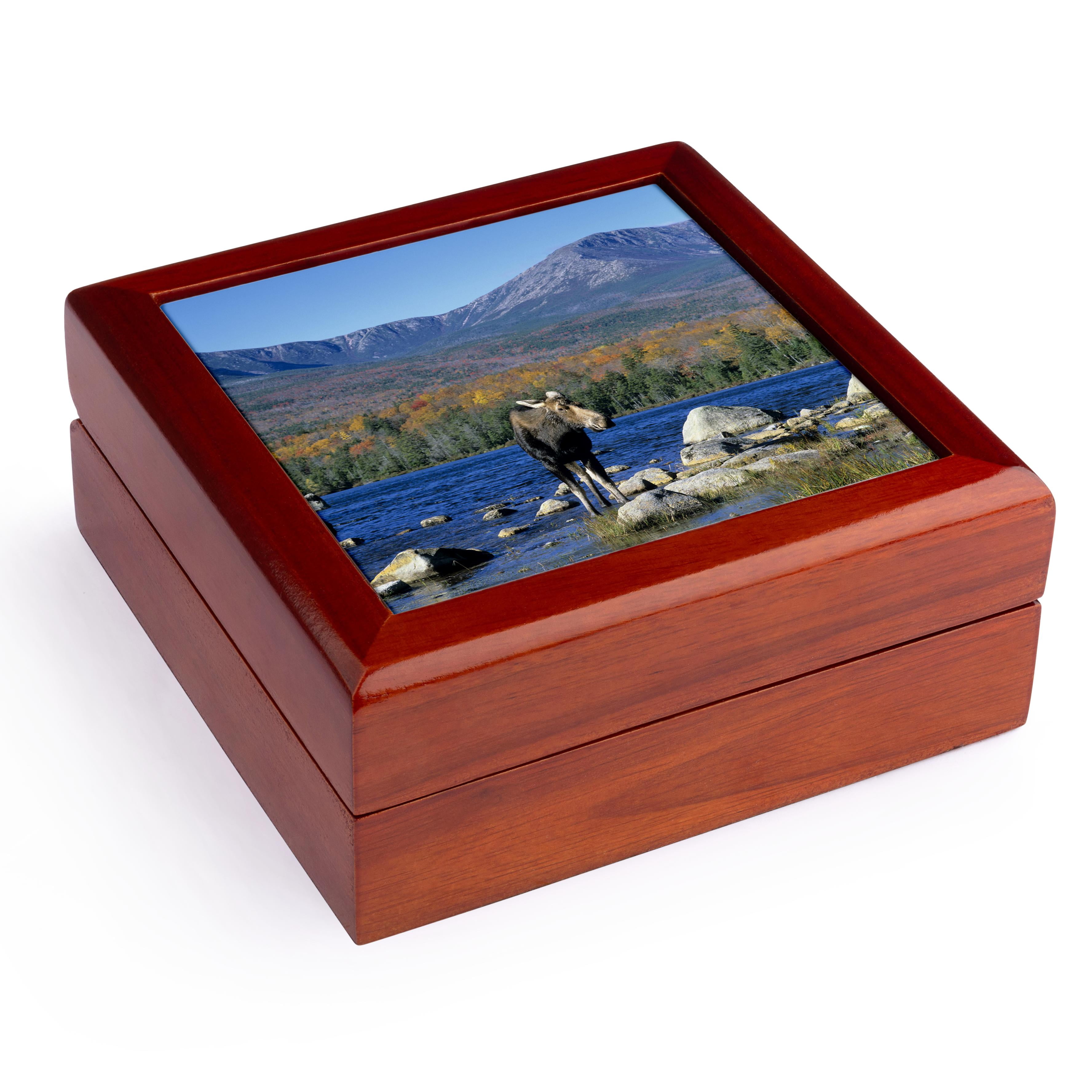 3dRose, Cow moose wildlife, Mt. Katahdin, Baxter SP, Maine - US20 HGA0005 - Howie Garber, Jewelry Box 5.5x5.5 inch with 4 inch tile