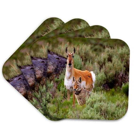 3drose, Coyote N Antelope Share the Land, Set of 4 Coasters - Soft