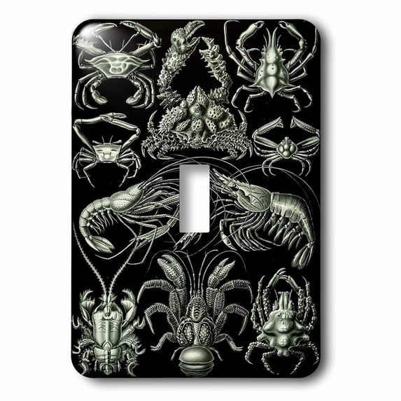 3dRose, Crabs Lobster Crawfish Sketch From Famous 1800s Biologist, single toggle switch