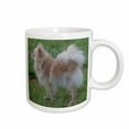 thumbnail image 1 of 3drose, Cream Pomeranian Side View, 11oz Mug, 1 of 6