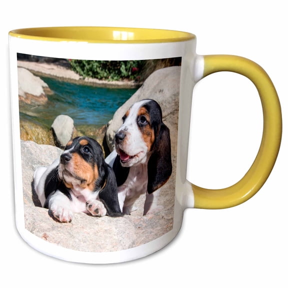 3drose, Curious Basset Hound Puppies on Some Rocks, 11oz Two-tone Yellow Mug