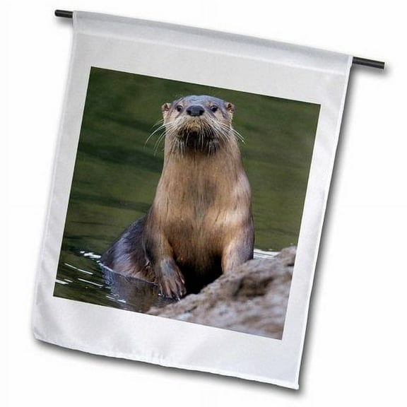 3dRose, Curious River Otter, 12 x 18 inch Garden Flag