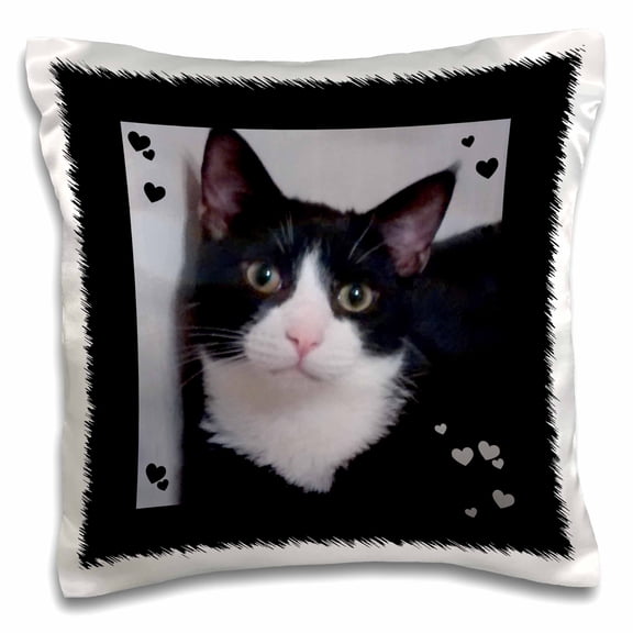 3drose, Cute Cat Lovers Black White Tux Cat Closeup Photo, 16x16 inch Pillow Case