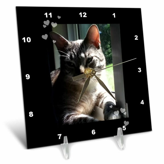 3dRose, Cute Grey and White Tabby Cat Lovers Sunbathing in Window Photo, 6x6 Desk Clock