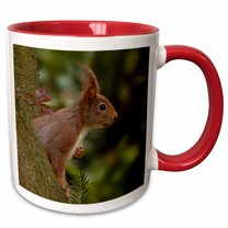 3drose, Cute Red Squirrel Looking Out of a Tree Wildlife Photography, 15oz Two-tone Red Mug