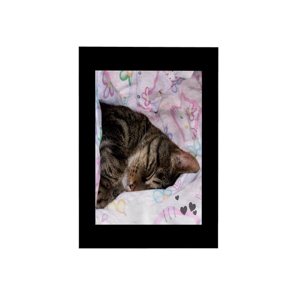 3dRose, Cute Sleeping Black Brown Tabby Cat Photo, 15x22 Hand Towel