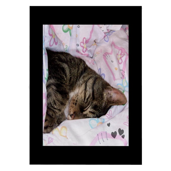 3dRose, Cute Sleeping Black Brown Tabby Cat Photo, 22x30 Bath Hand Pool Towel