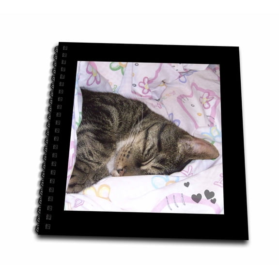 3dRose, Cute Sleeping Black Brown Tabby Cat Photo, Drawing Book 8 x 8 inch