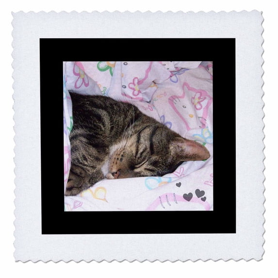 3dRose, Cute Sleeping Black Brown Tabby Cat Photo, 8x8 inch quilt square