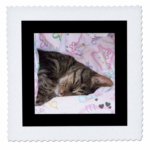 3dRose, Cute Sleeping Black Brown Tabby Cat Photo, 8x8 inch quilt square