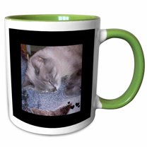 3drose, Cute Sleeping Grey White Siamese Cat Photo, 15oz Two-tone Green Mug