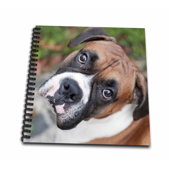 3dRose, Cute boxer dog portrait canine, Memory Book 12 x 12 inch