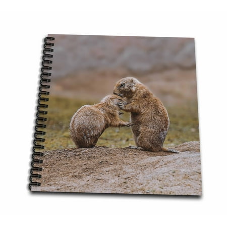 3dRose Cute little prairie dogs caring each other - Mini Notepad, 4 by 4-inch