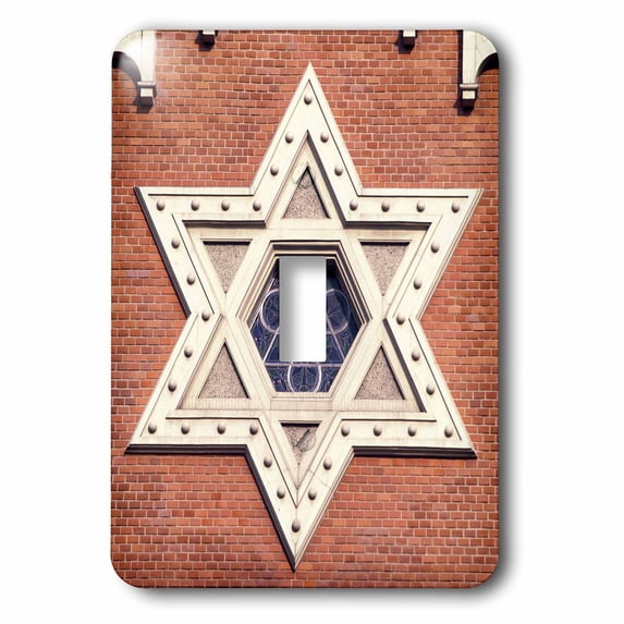 3dRose, Czech Republic, Plzen, Great Synagogue - EU06 WBI0337 - Walter Bibikow, single toggle switch