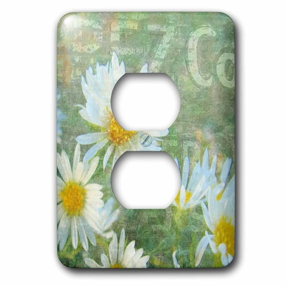 3dRose, Daisy Co. Digital Art by Angelandspot, 2 plug outlet cover
