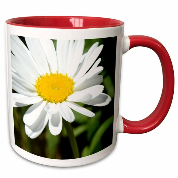 3drose, Daisy in the Sun Flowers Floral Photography, 11oz Two-tone Red Mug