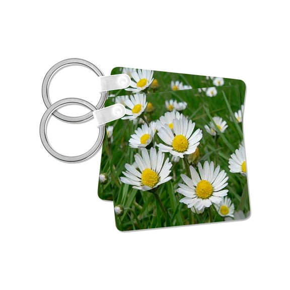 3dRose, Daisy, set of 2 Key Chains