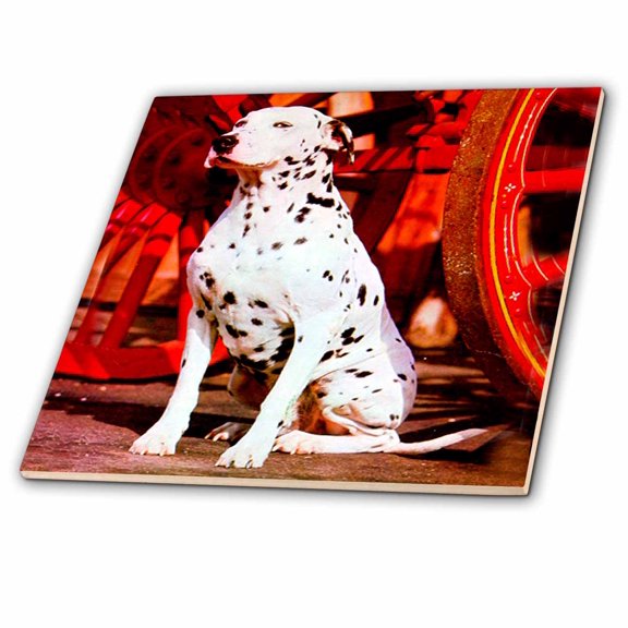 3dRose, Dalmatian, 6 Inch Ceramic Tile