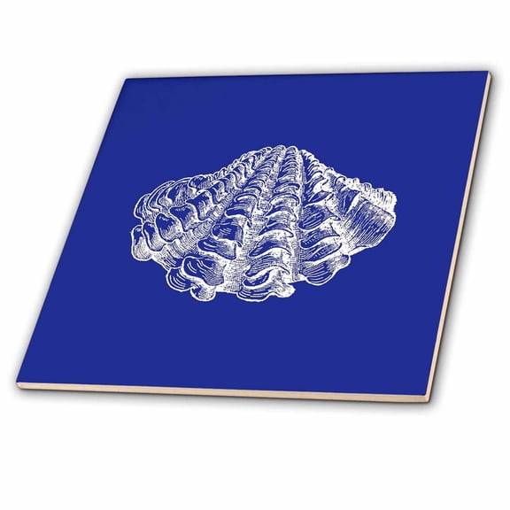 3dRose, Dark Blue seashell etching print. Modern Sea shell clam beach ocean, 4 Inch Ceramic Tile