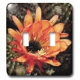 thumbnail image 1 of 3dRose, Decorative colorful garden botanic classic plant SW Southwest Desert cactus red orange rain flower, double toggle switch, 1 of 1