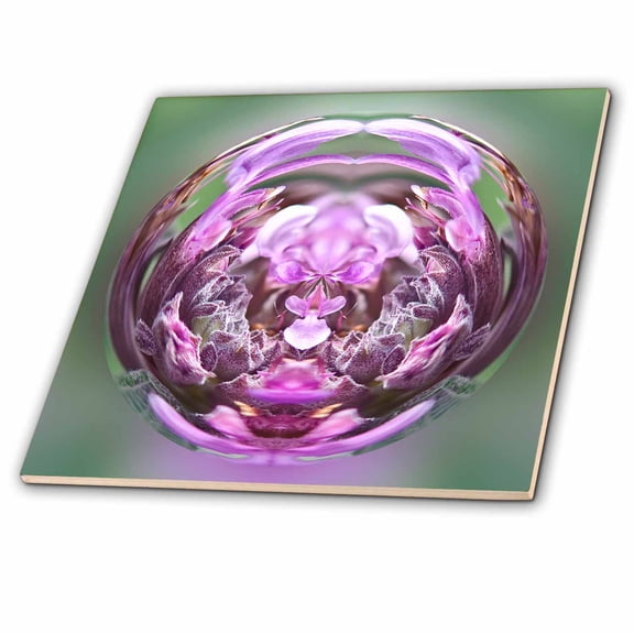 3dRose, Decorative colorful garden botanic paperweight globe abstract flower SW Southwest cactus, 8 Inch Glass Tile