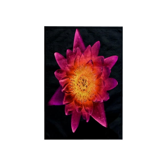 3dRose, Decorative colorful garden botanic plant water lily red purple gold solarized flower abstract, 15x22 Hand Towel