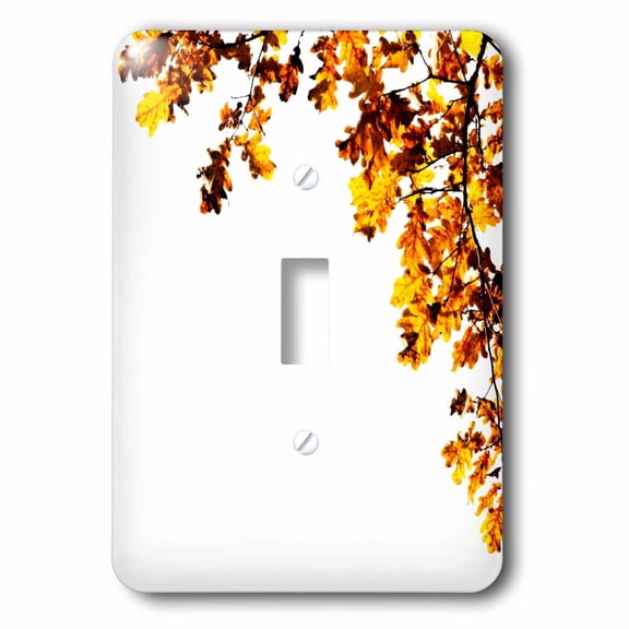 3dRose, Decorative frame of shining brown oak leaves, space for custom text, single toggle switch