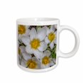 thumbnail image 1 of 3drose, Deep Bright Orange Hibiscus Flower, Honolulu. State Flower of Hawaii., 11oz Mug, 1 of 6