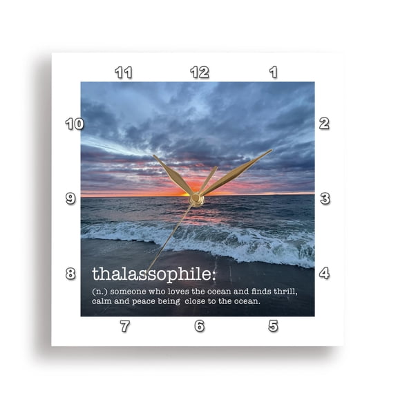 3dRose, Definition of thalassophile, 15x15 Wall Clock