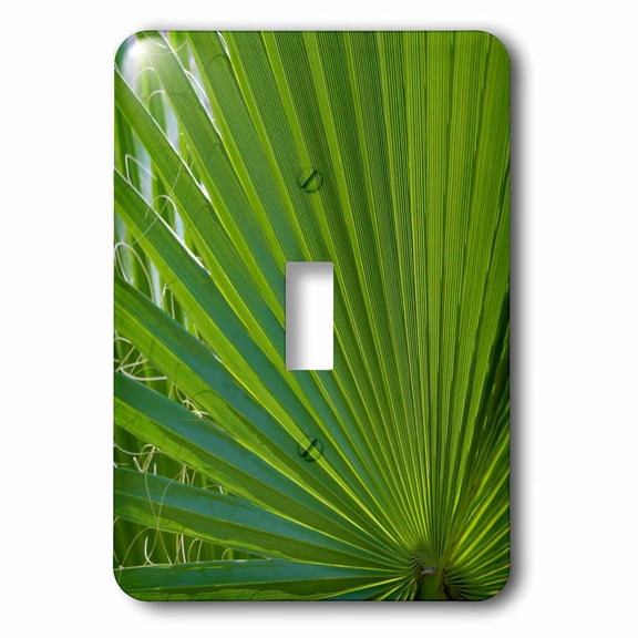 3dRose, Detail, Palm Tree Frond, single toggle switch