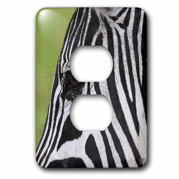 3dRose, Detail of the head and eye of a Common zebra, 2 plug outlet cover
