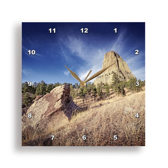 3dRose, Devils Tower in Devils Tower National Park, 15x15 Wall Clock